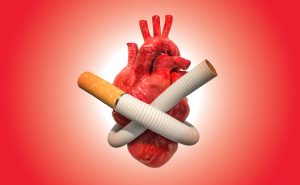 Le tabac a des effets allant droit au cœur